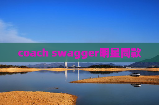 coach swagger明星同款